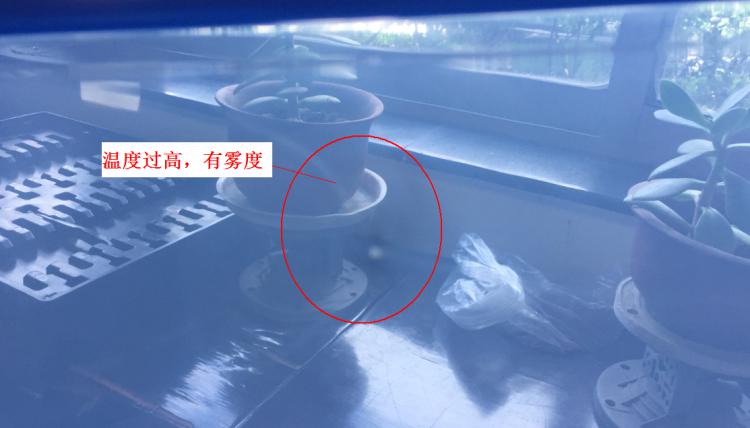 注塑制品質(zhì)量缺陷分析（六）造成制品表面有霧度的主要原因是什么？